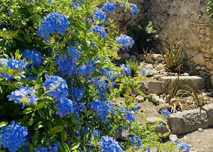 Casa Di Marko Lägenhet Gardeládes